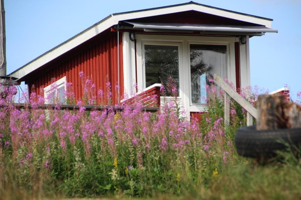 Bjoerkebo Camping Stollet Exterior photo